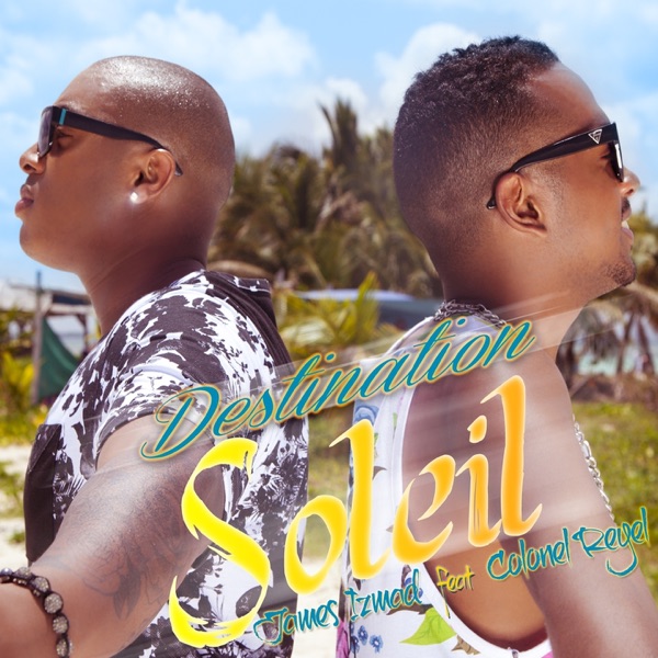 Destination soleil (feat. Colonel Reyel) - Single album cover