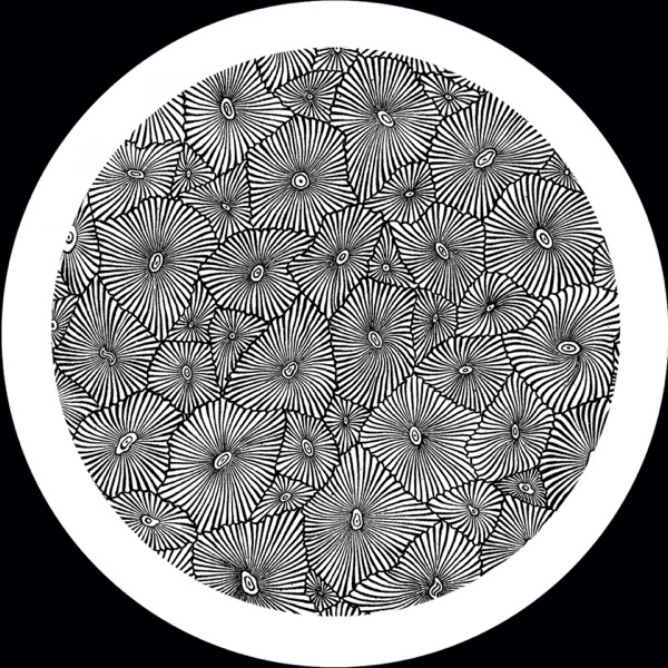 VER105 12 - EP album cover