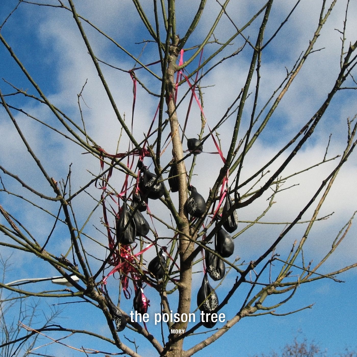 The Poison Tree - Single album cover