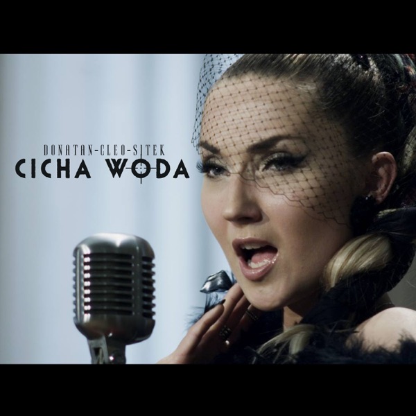 Cicha Woda (feat. Sitek) - Single album cover