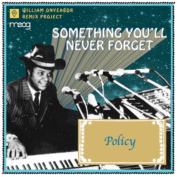 Something You Will Never Forget (Policy Remix) - Single album cover