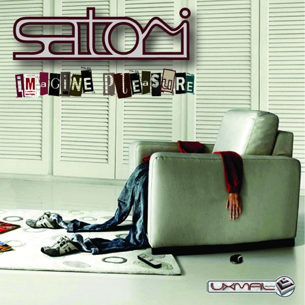 Imagine Pleasure - Single album cover