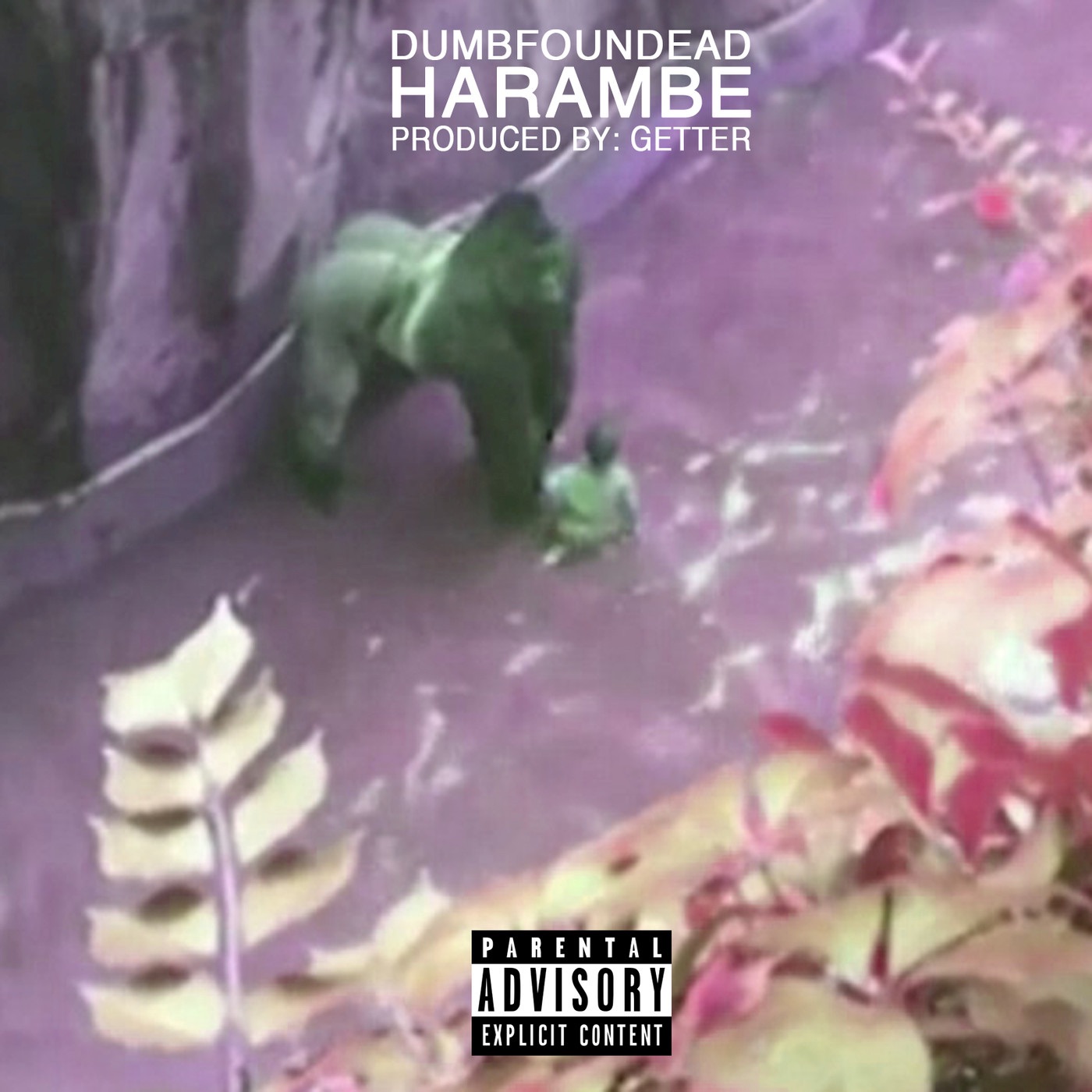 Harambe - Single album cover