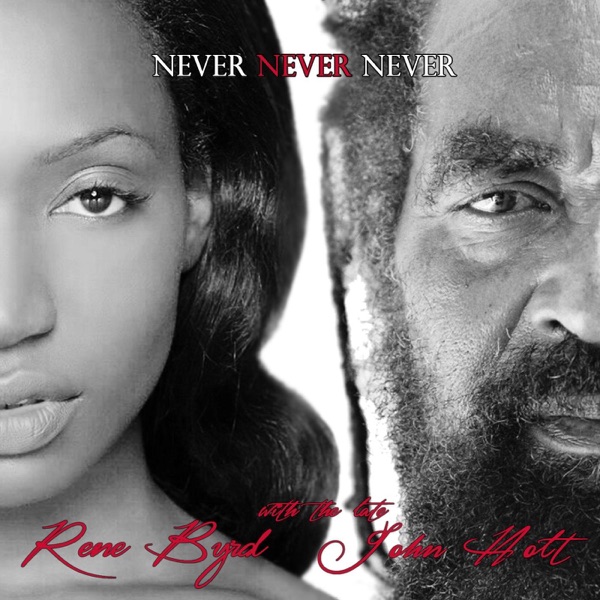 Never Never Never (feat. John Holt) - Single album cover