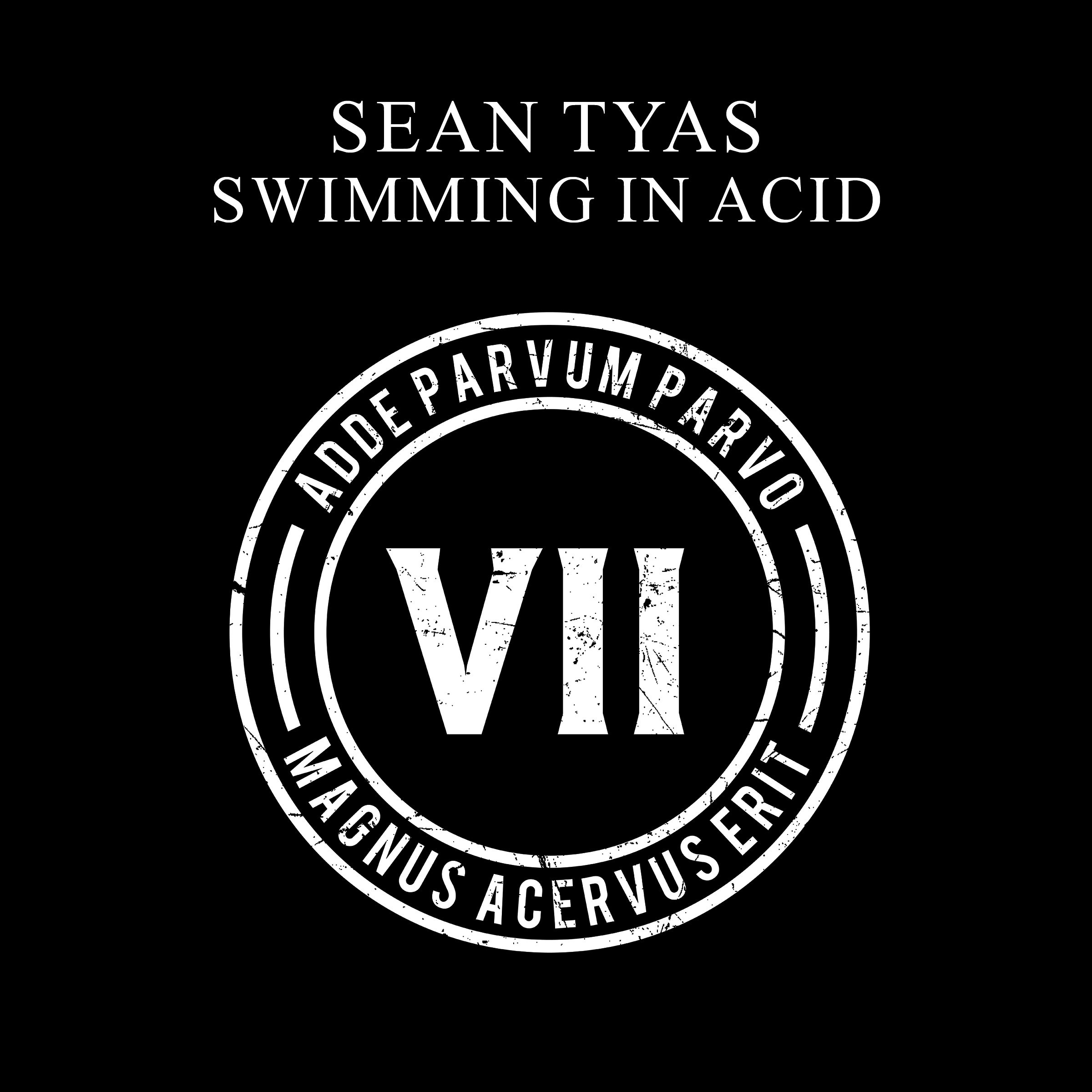 Swimming in Acid - Single album cover