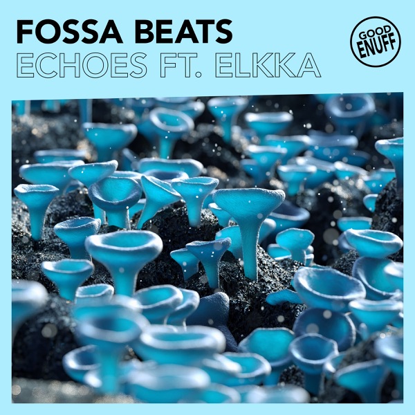 Echoes (feat. elkka) - Single album cover