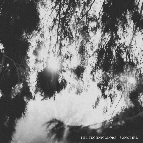 Songbird - Single album cover