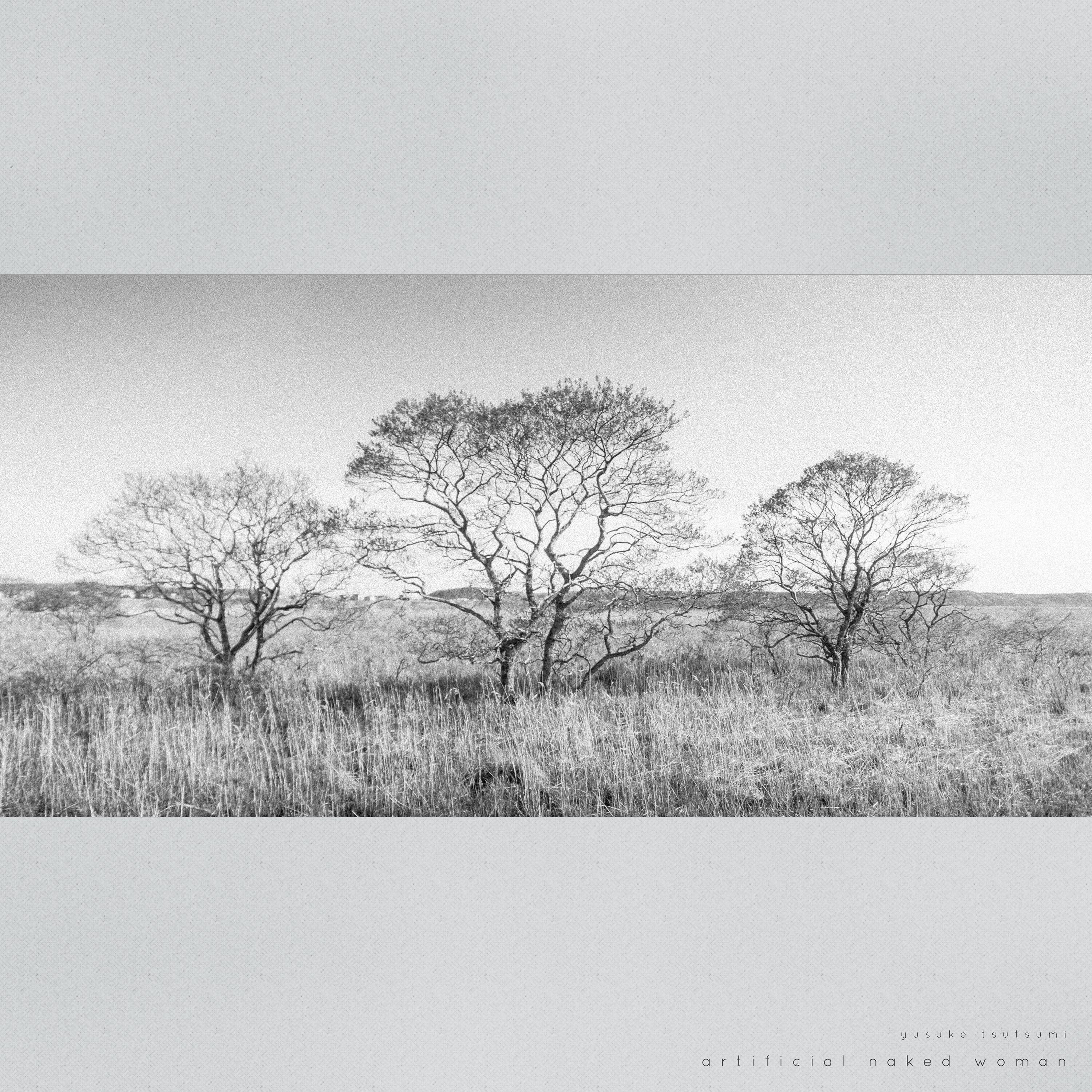 Artificial Naked Woman album cover