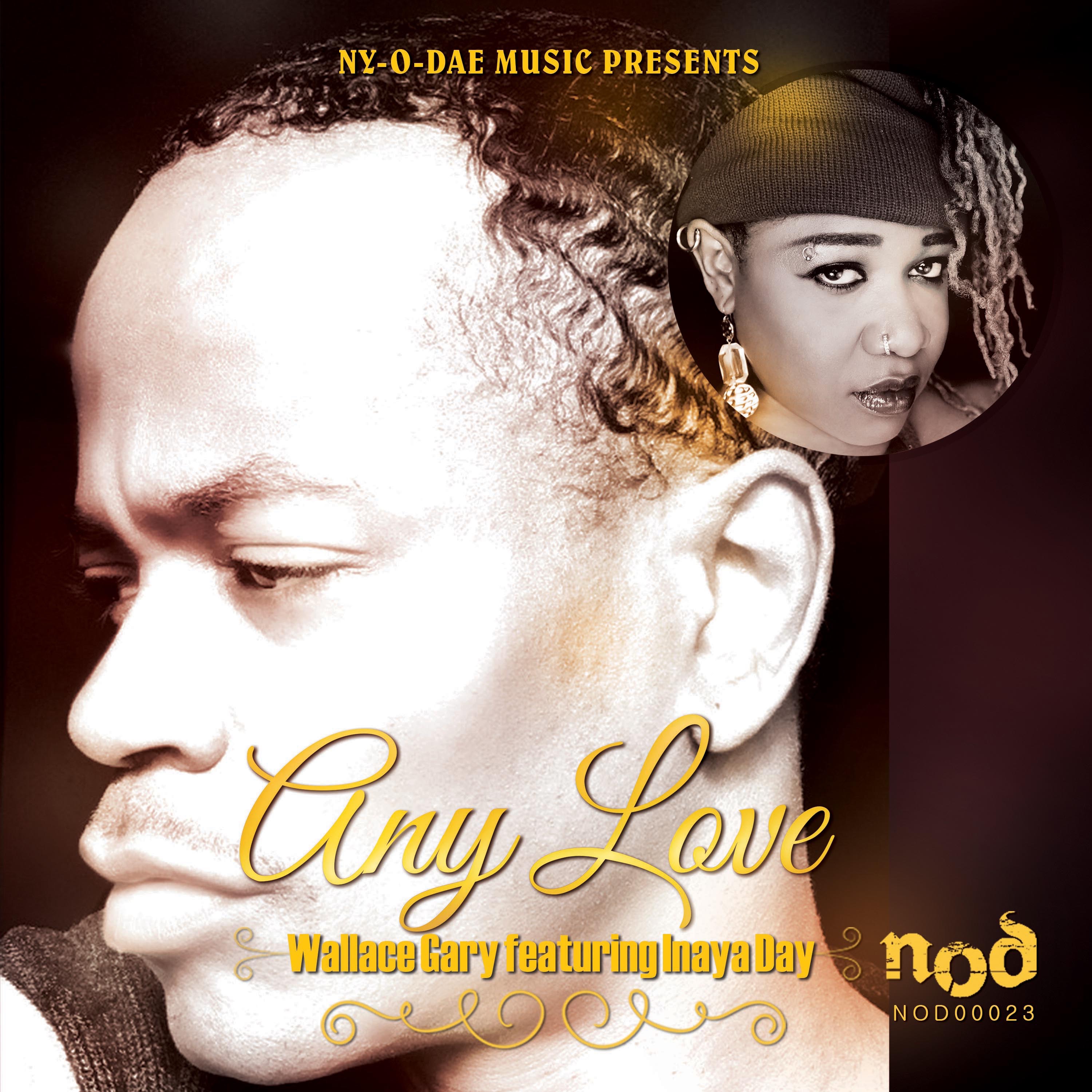Any Love (feat. Inaya Day) album cover