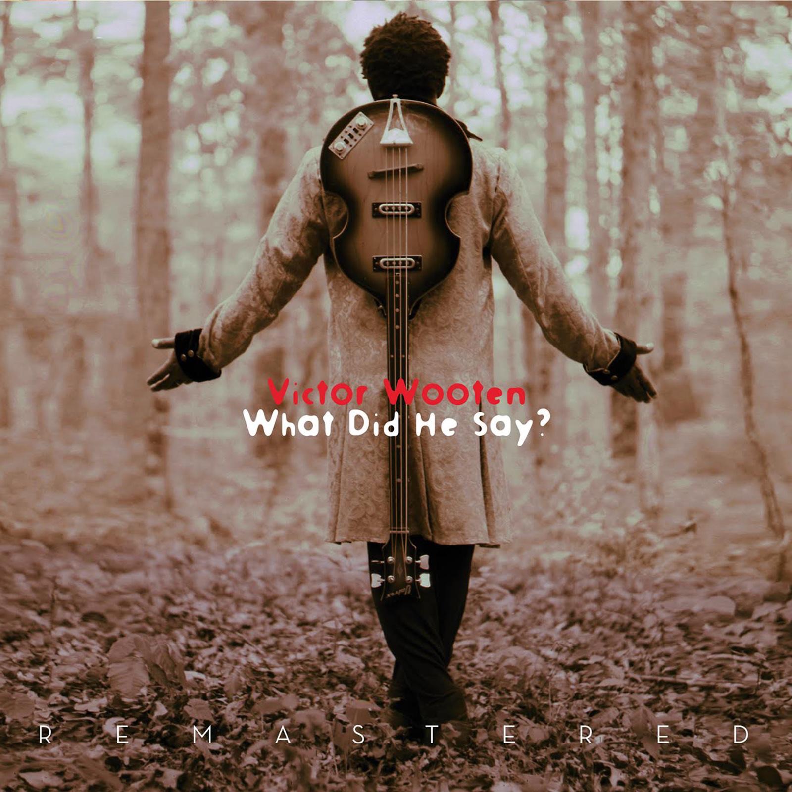 What Did He Say? (Remastered) album cover