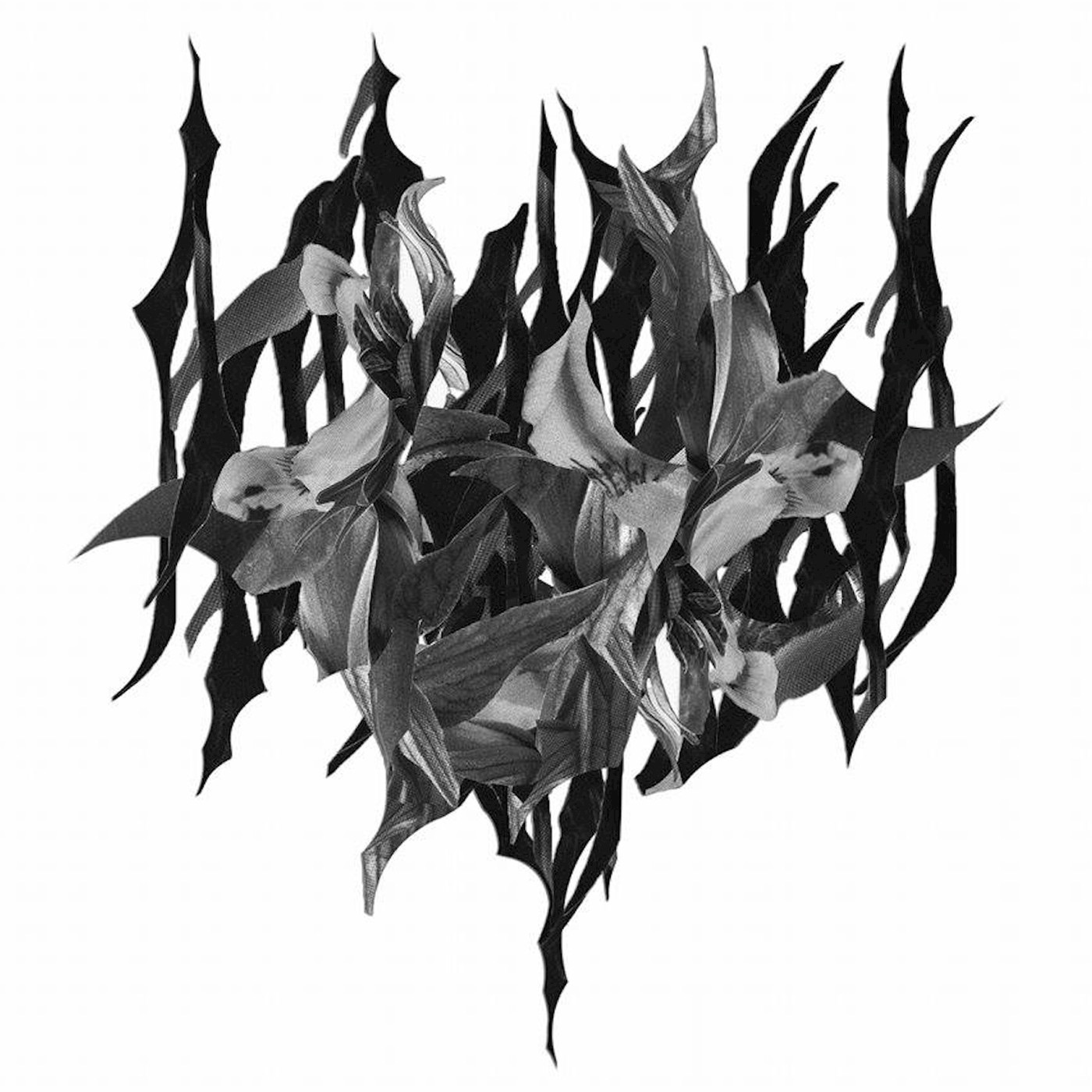 When Man Fails You album cover