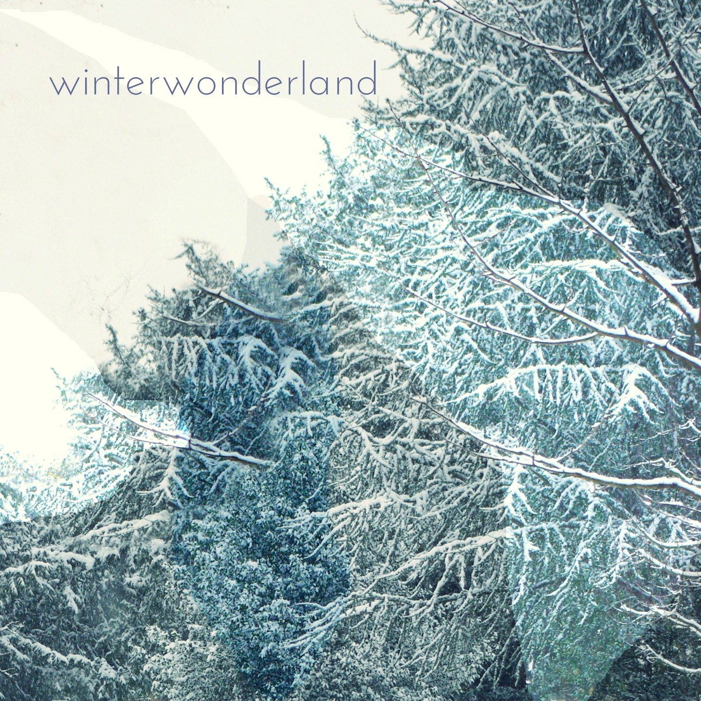 winterwonderland album cover