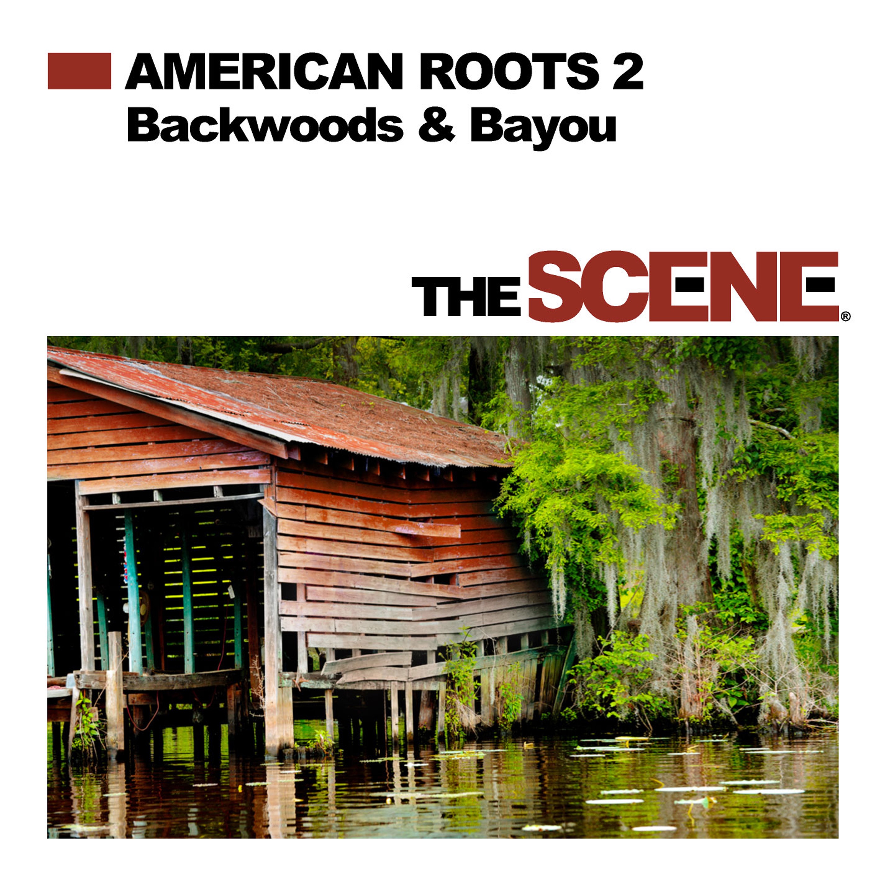 American Roots 2: Backwoods & Bayou album cover