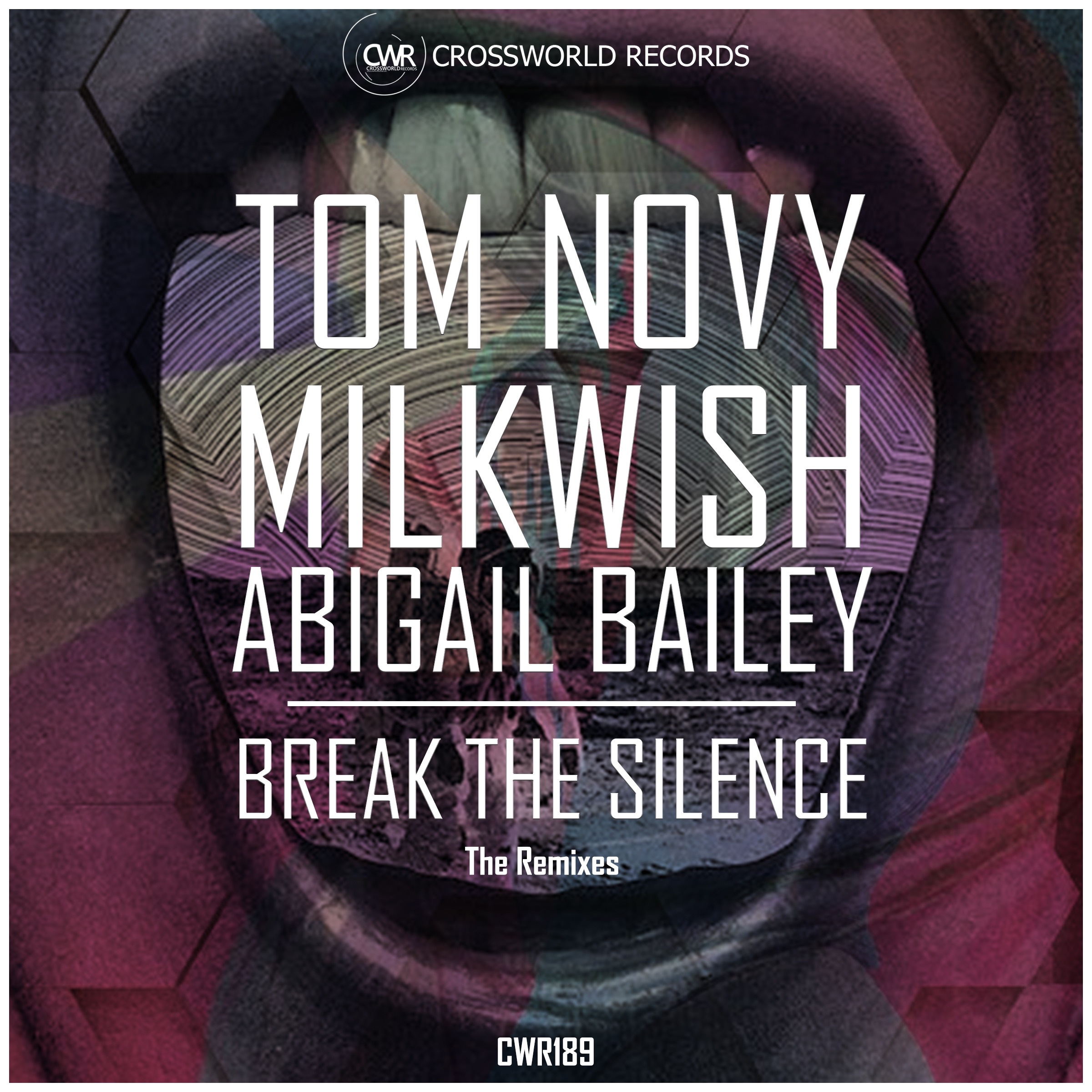 Break the Silence (The Remixes) - Single album cover