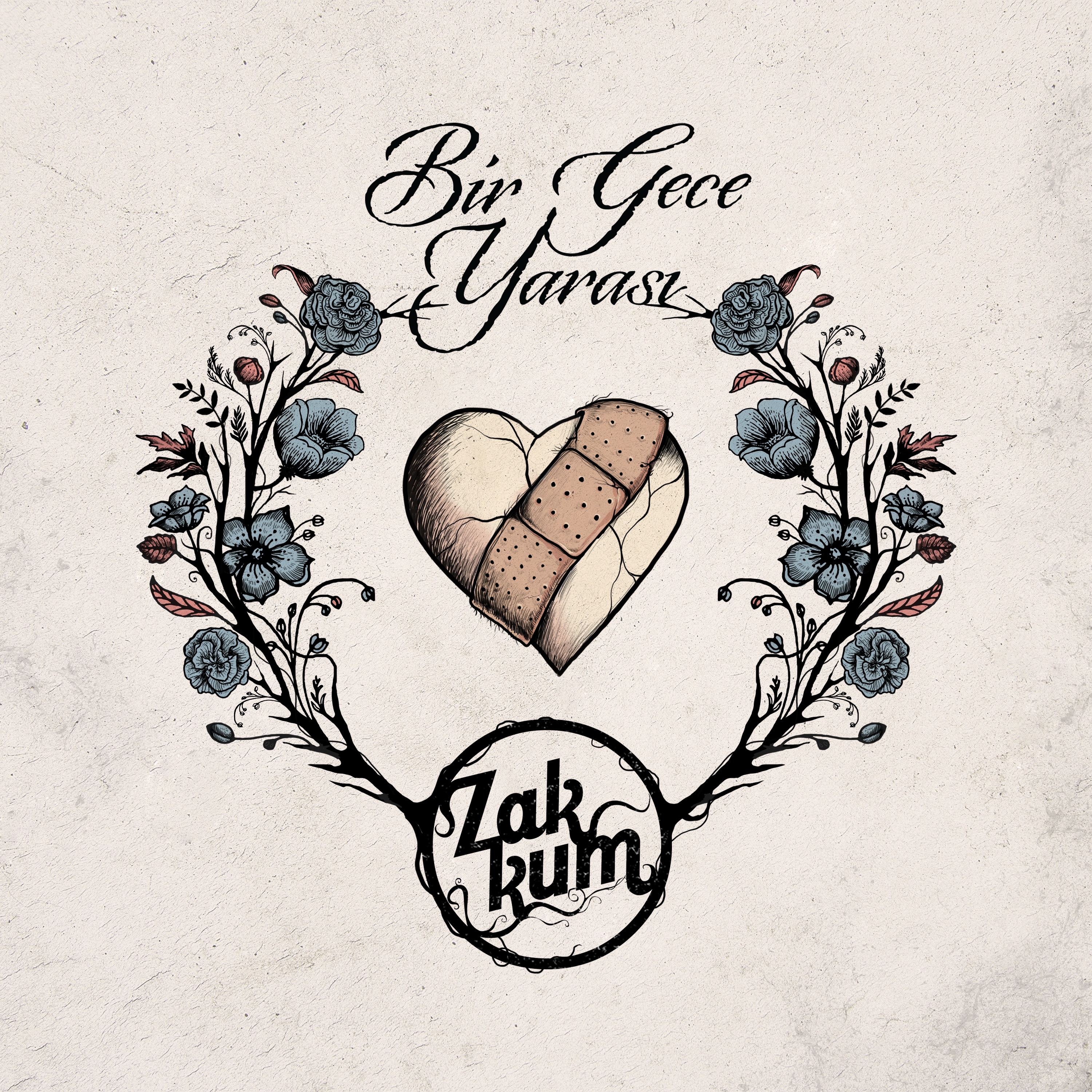 Bir Gece Yarası album cover