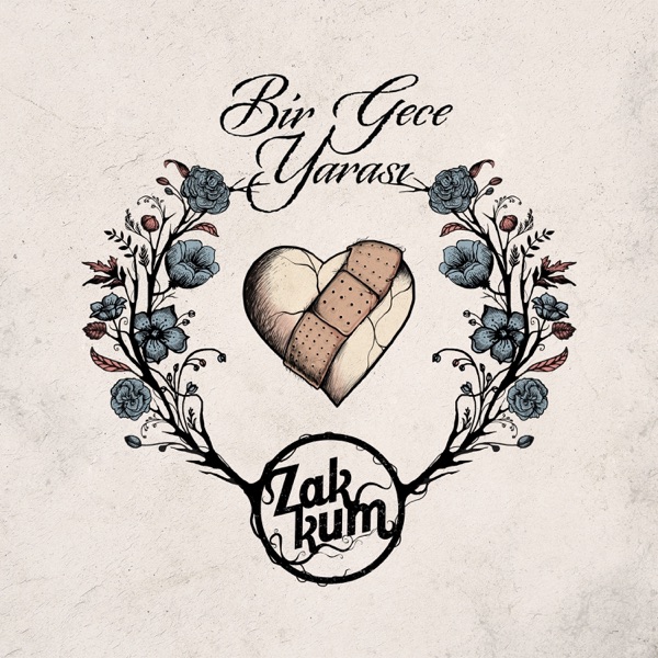 Bir Gece Yarası album cover