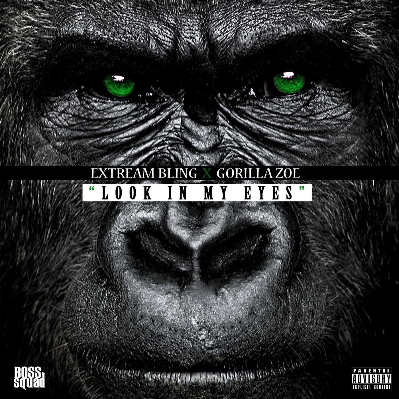 Look in My Eyes (feat. Gorilla Zoe) - Single album cover