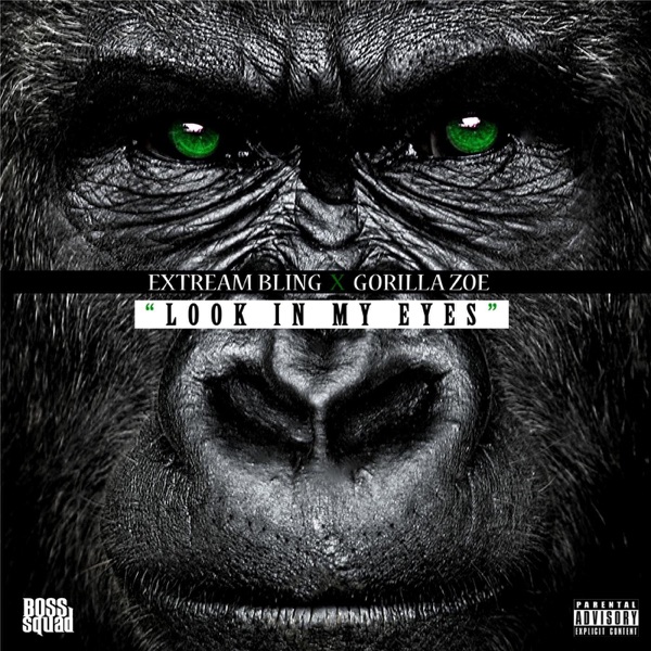 Look in My Eyes (feat. Gorilla Zoe) - Single album cover