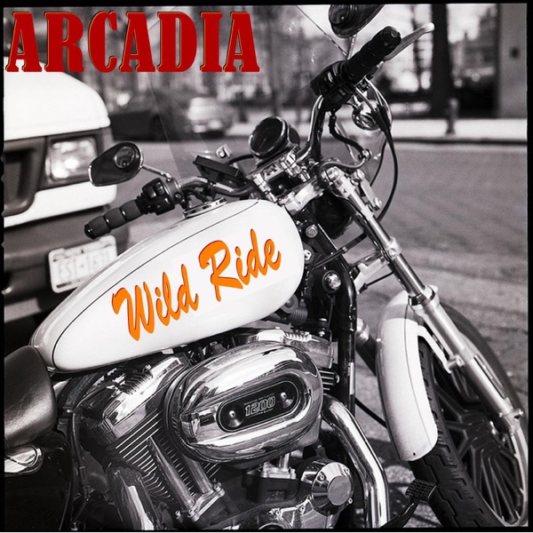 Wild Ride - Single album cover
