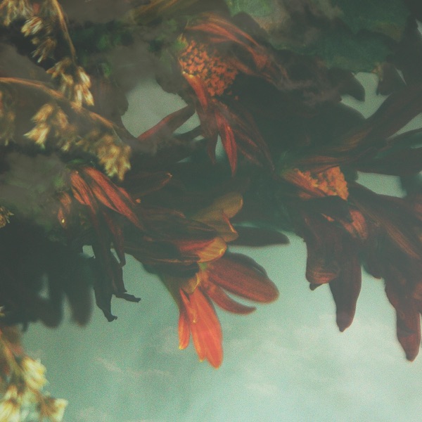 A Grave by the Sea album cover