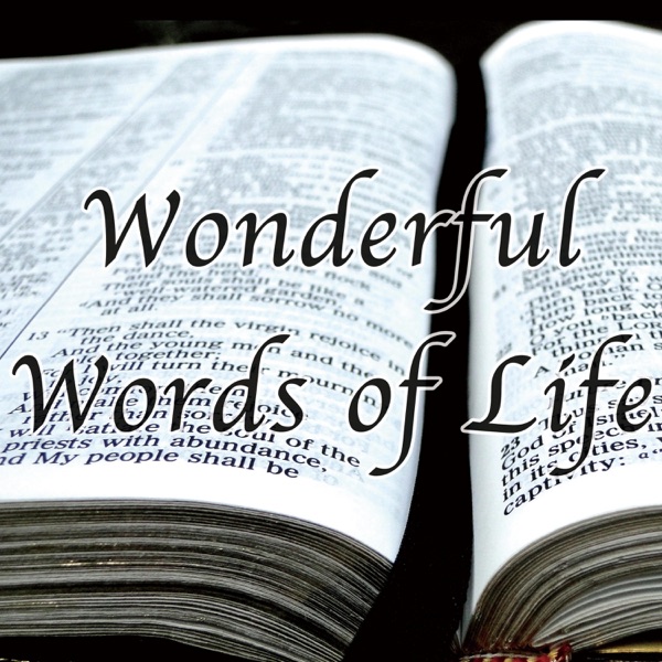Wonderful Words of Life (Hymn Piano Instrumental) - Single album cover