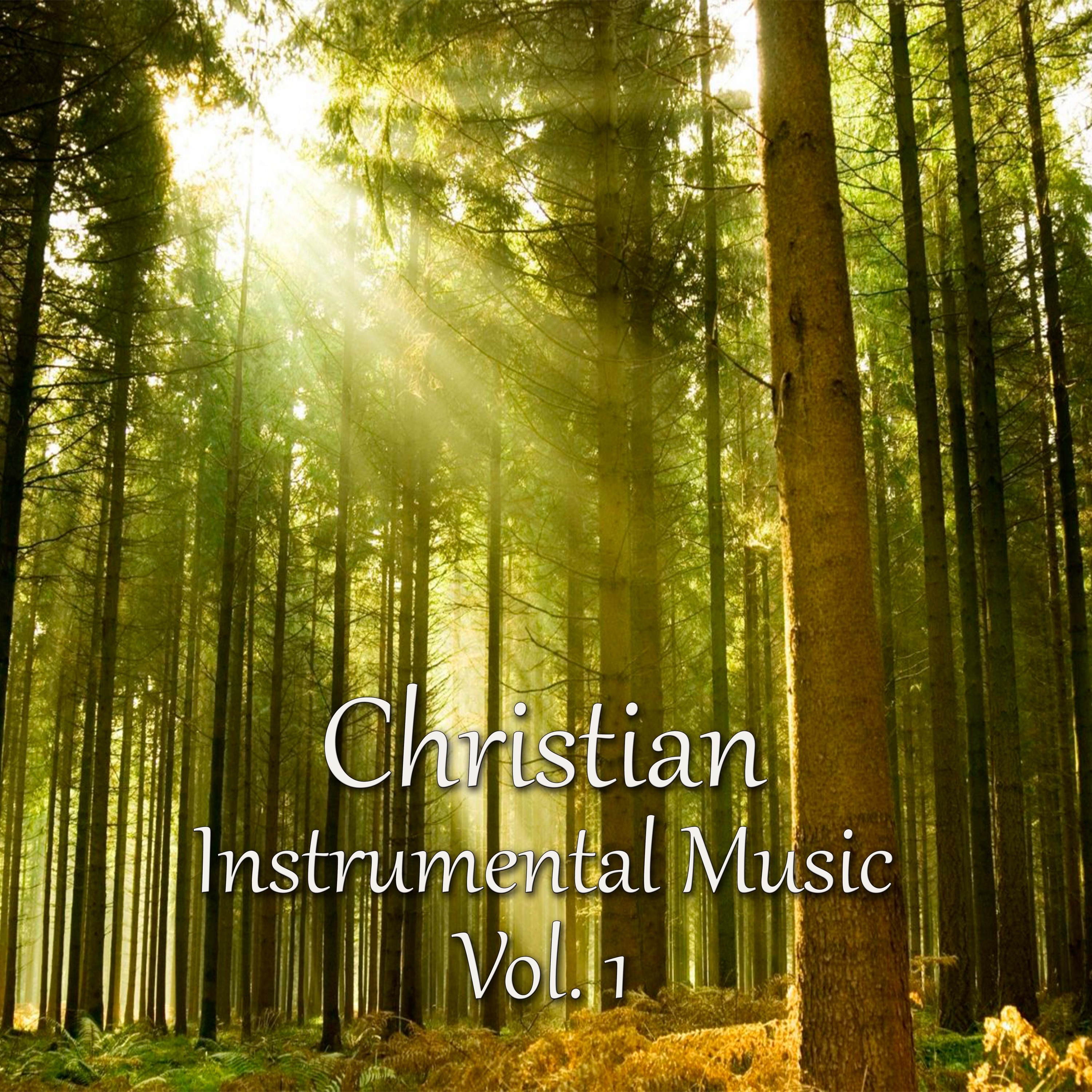 Christian Instrumental Music, Vol. 1 album cover