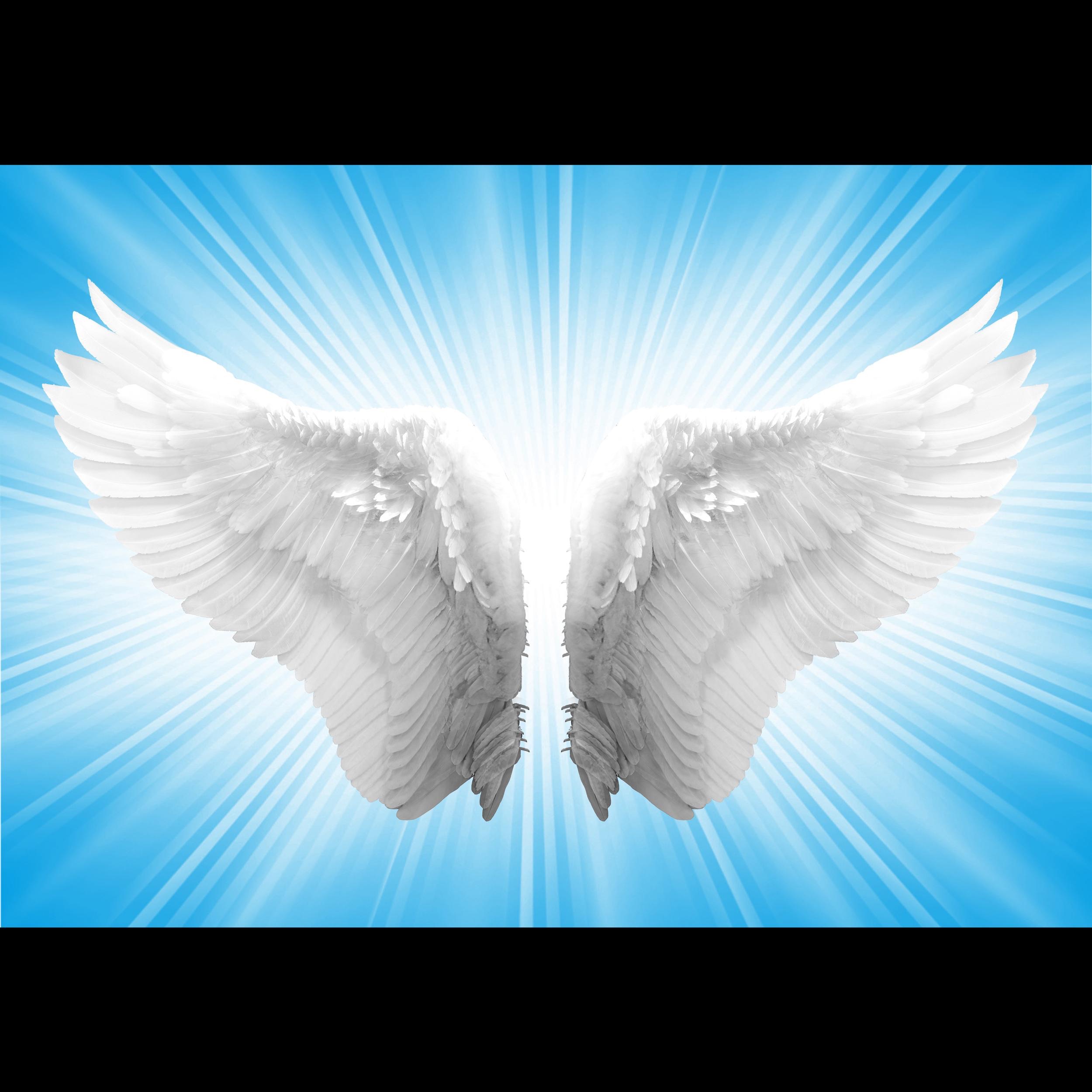 Angels - Single album cover