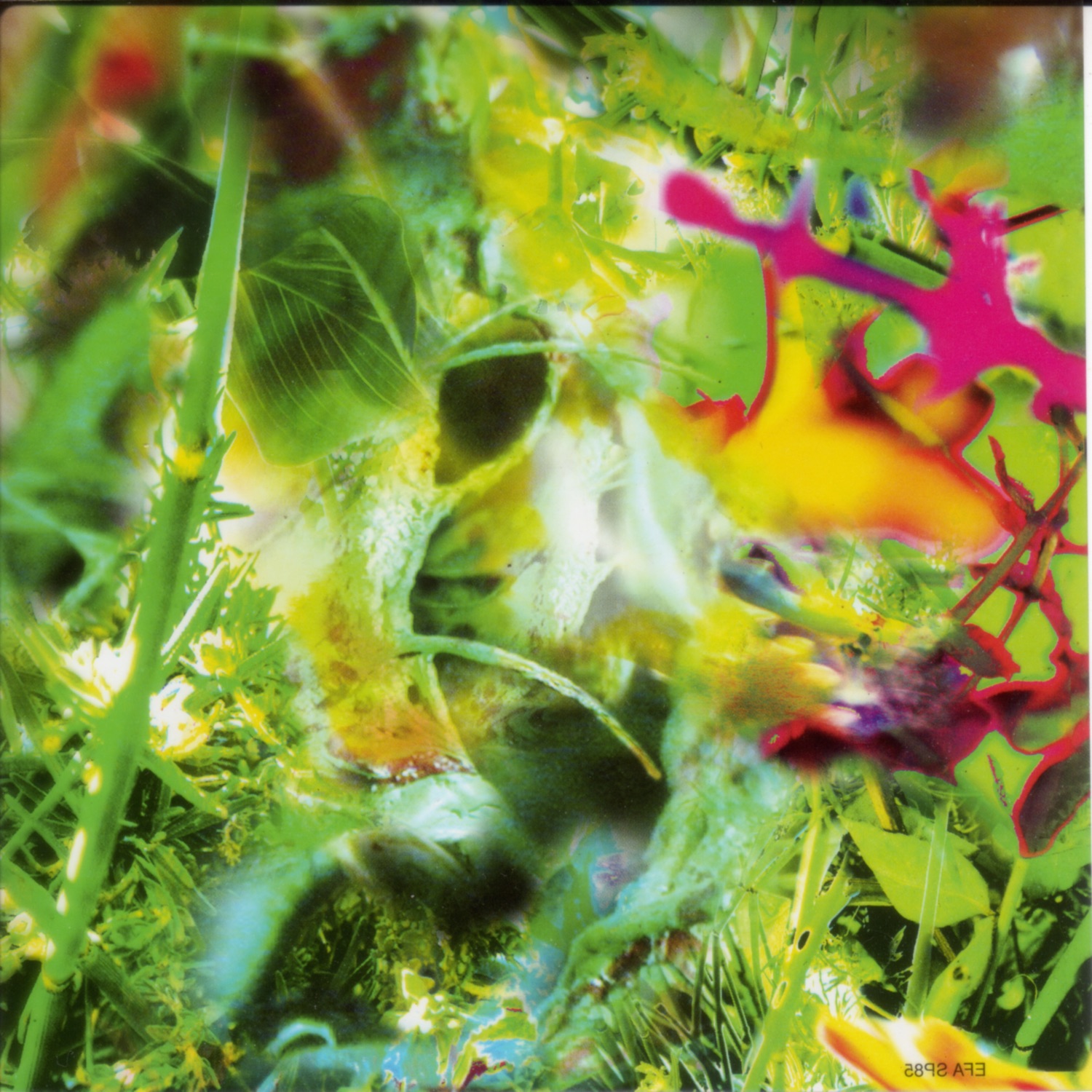 Second Nature album cover