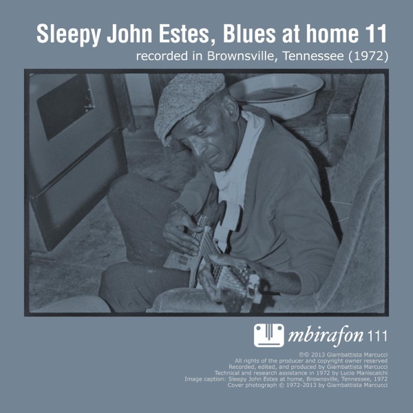 Blues At Home 11 album cover