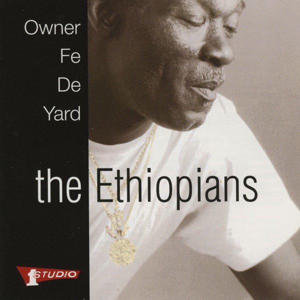 Owner Fe De Yard album cover
