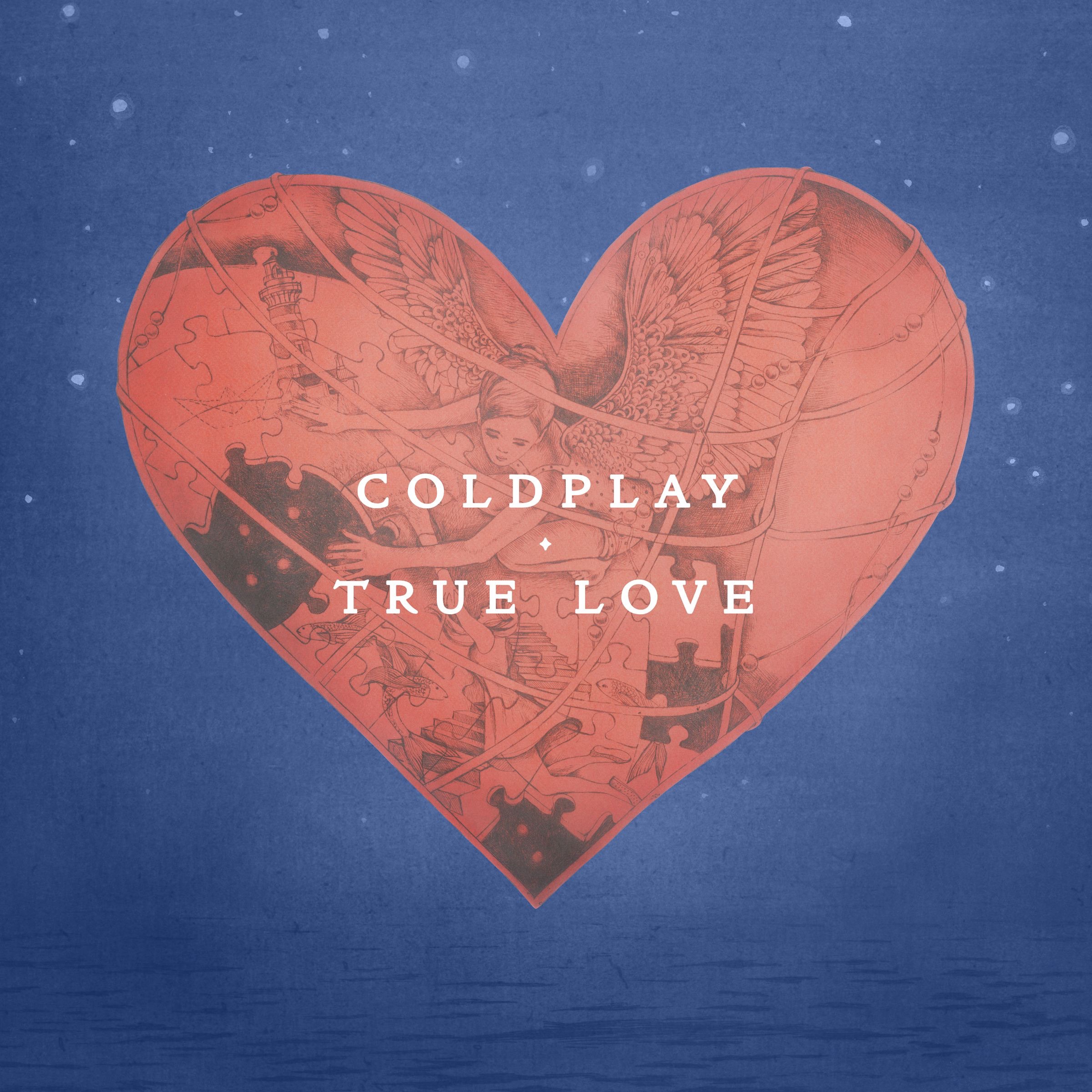 True Love - Single album cover