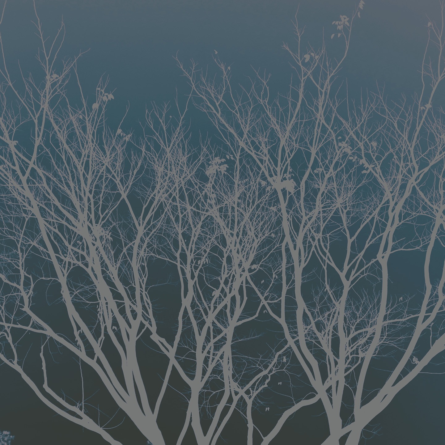 214 - Single album cover
