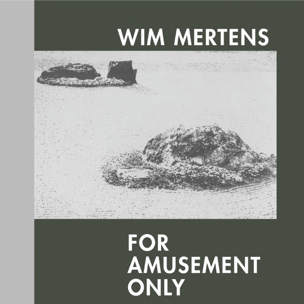 For Amusement Only album cover