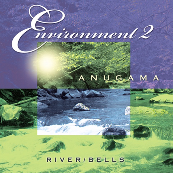 Environment 2 (River & Bells) album cover
