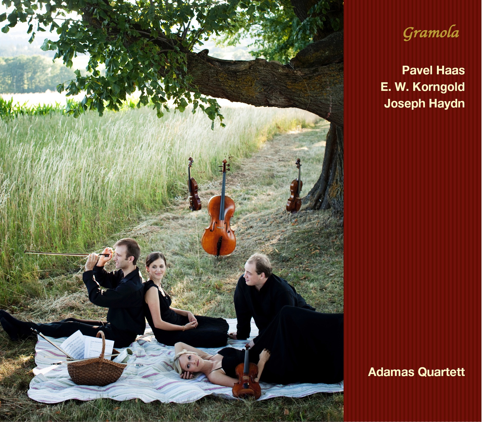 Haas, Korngold & Haydn: String Quartets album cover