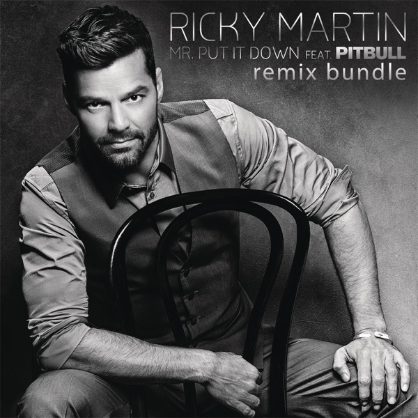 Mr. Put It Down (feat. Pitbull) [Remixes] - EP album cover