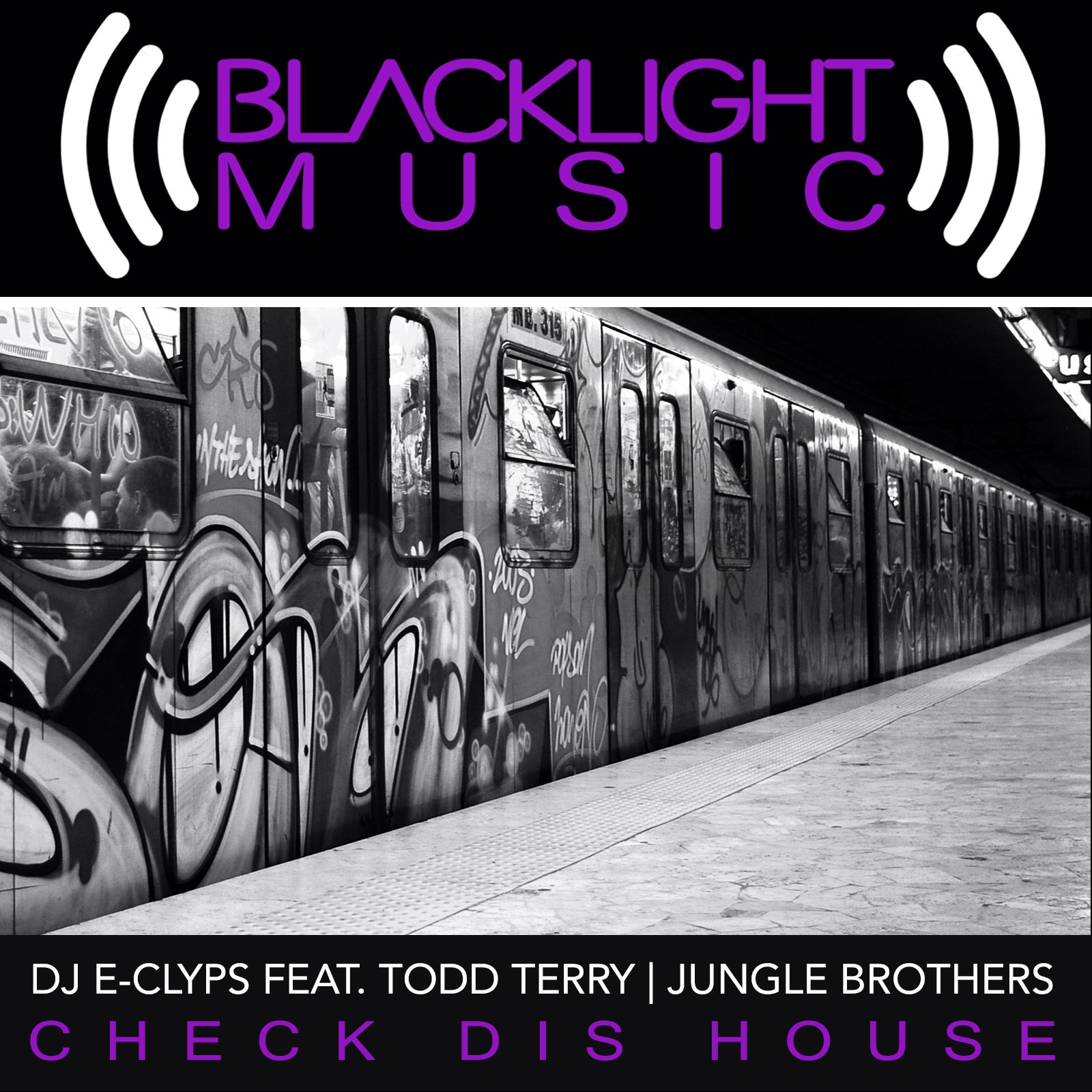 Check Dis House (feat. Todd Terry & Jungle Brothers) - Single album cover