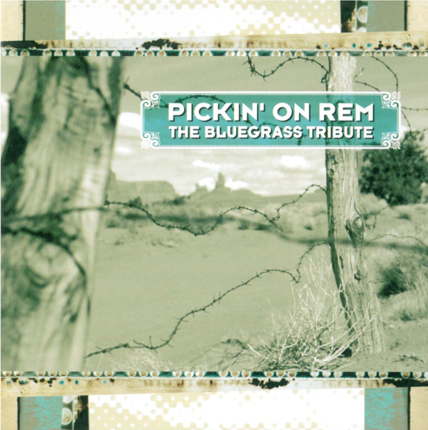 Pickin' On R.E.M.: The Bluegrass Tribute album cover