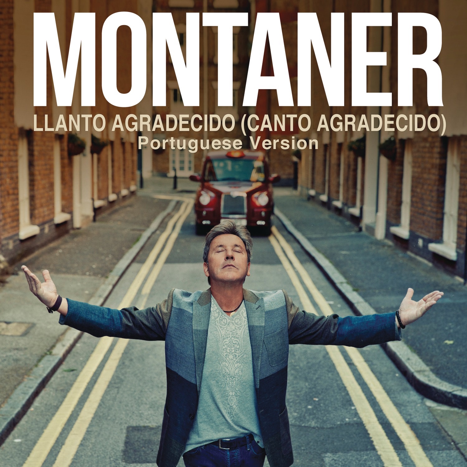 Llanto Agradecido (Canto Agradecido) [Portuguese Version] - Single album cover