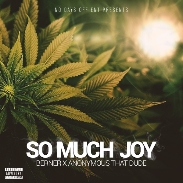 So Much Joy - Single album cover
