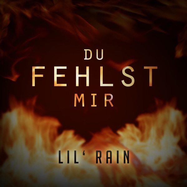 Du fehlst mir - Single album cover
