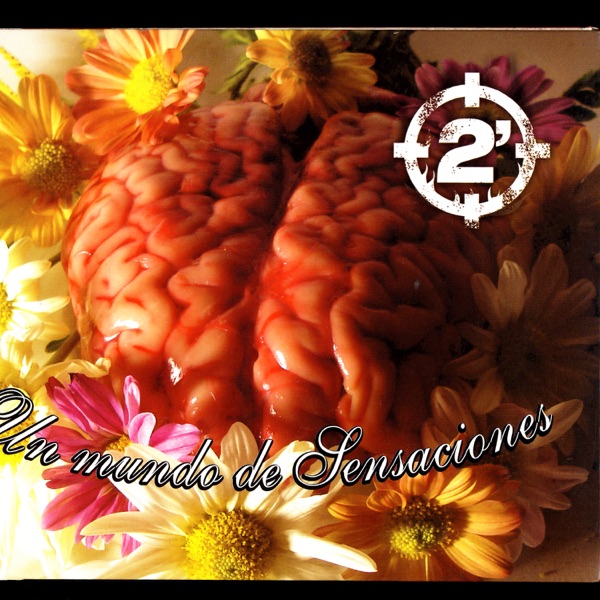 Un Mundo de Sensaciones album cover