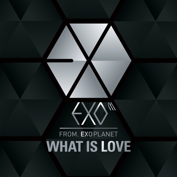 What Is Love (Chinese Version) - Single album cover