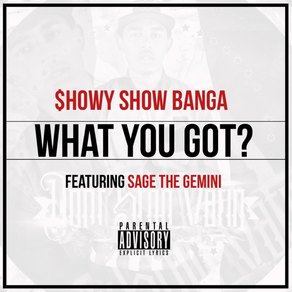 What You Got? (feat. Sage the Gemini) - Single album cover