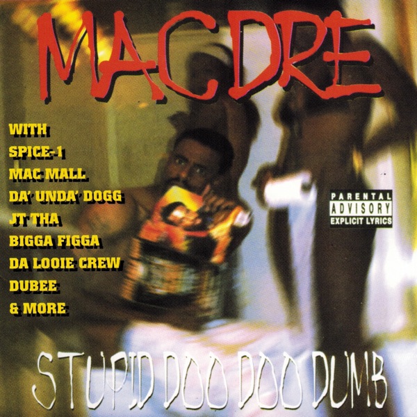 Stupid Doo Doo Dumb album cover