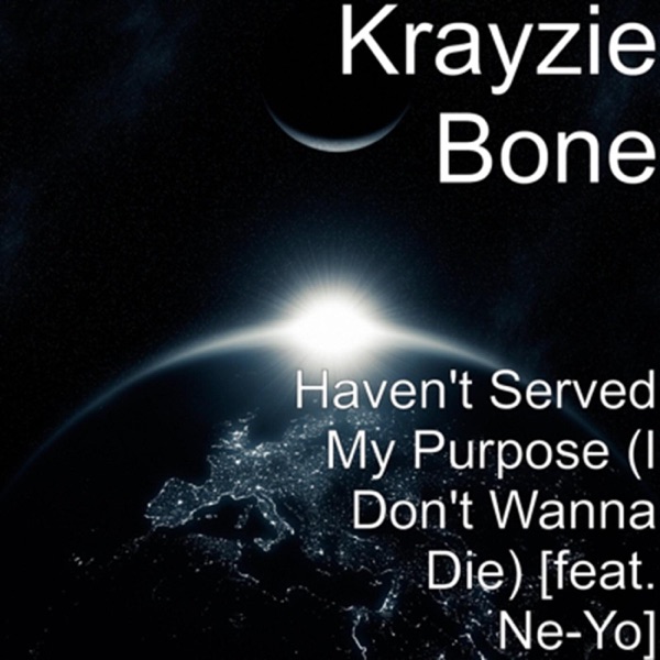Haven't Served My Purpose (I Don't Wanna Die ) - Single album cover