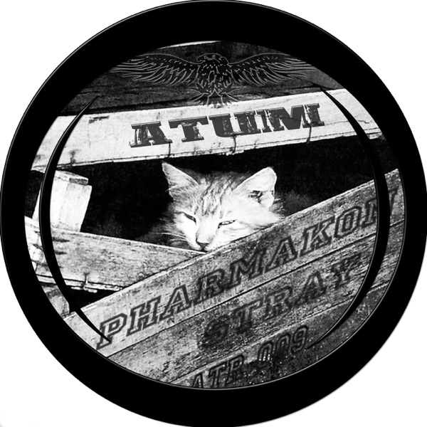 Stray - Single album cover