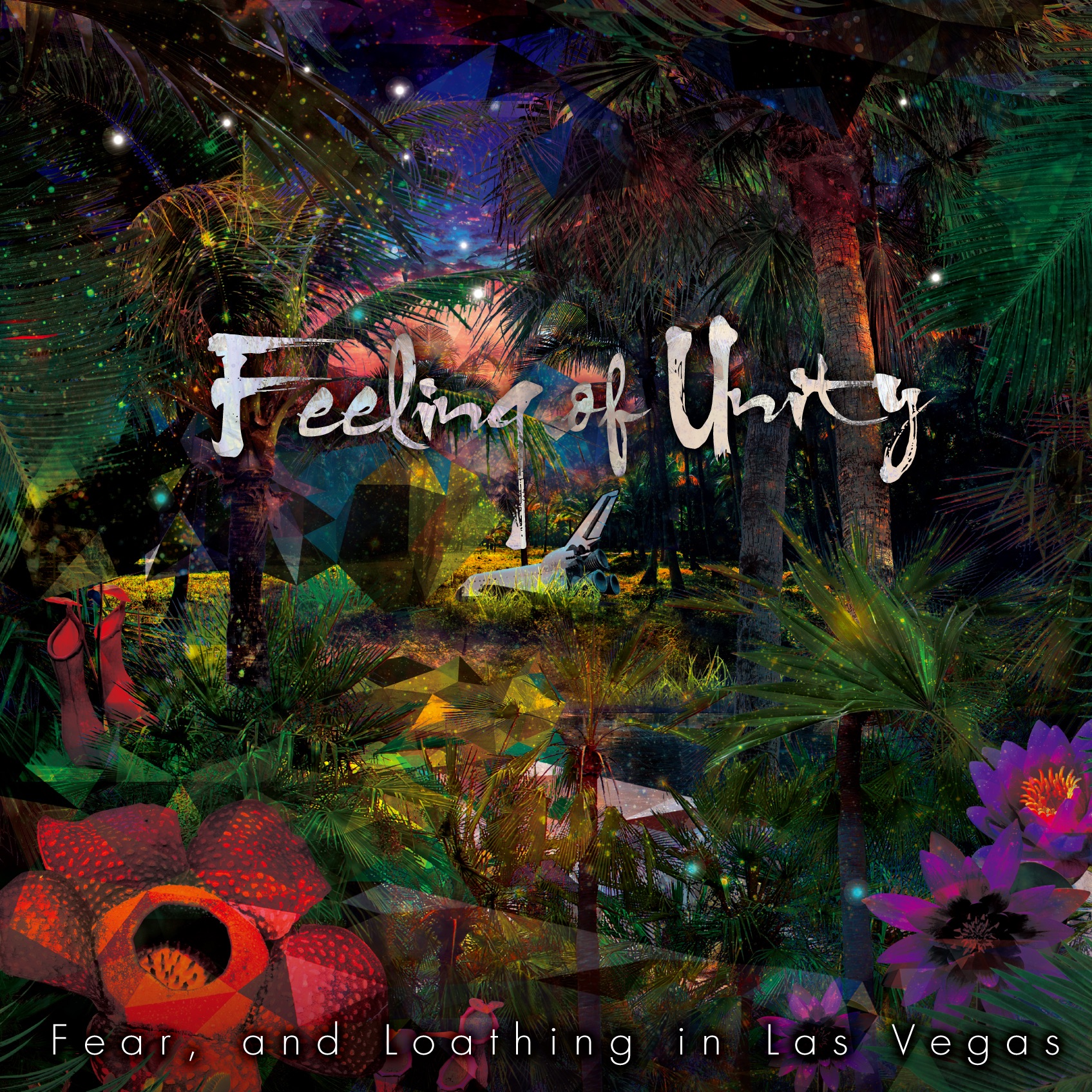 Feeling of Unity album cover