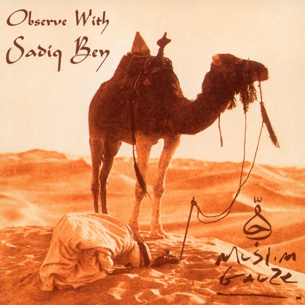 Observe with Sadiq Bey album cover