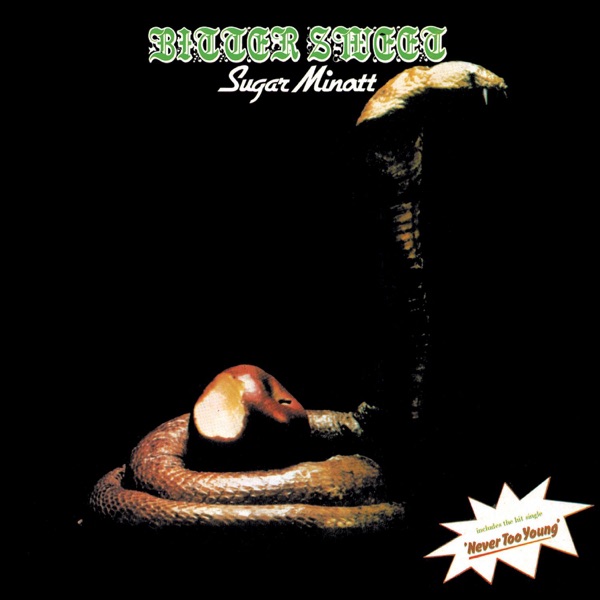 Bitter Sweet album cover